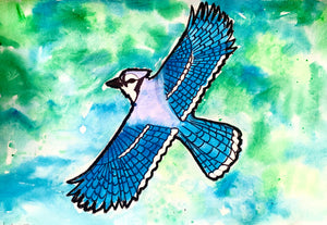 Watercolour Bluejay * Friday August 25 *PM* 2:00 PM - 4:00 PM * (Ages 6-13)
