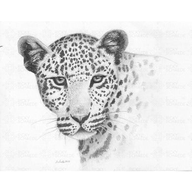 Leopard Study Original Drawing